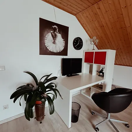 De Flingou Apartment *